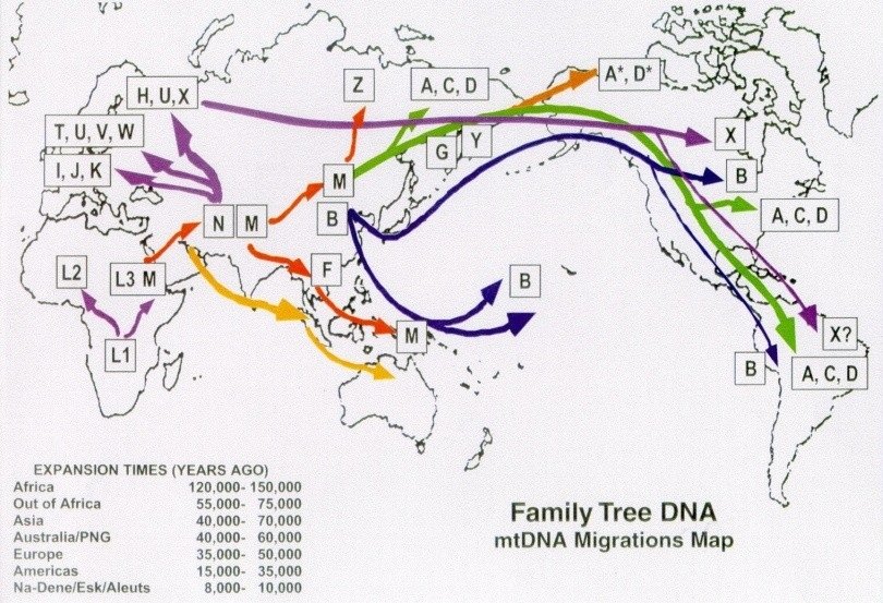Family Tree DNA — Urbanism as a Way of Life